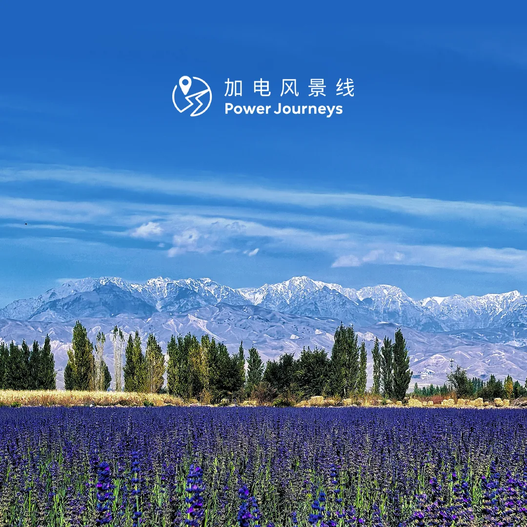 蔚来加电风景线雪山花田方形风景图