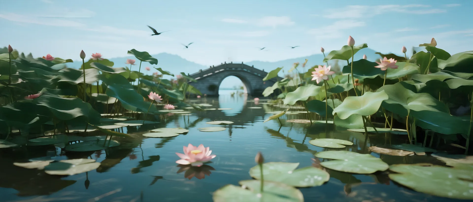 《青青》动态分镜画面02